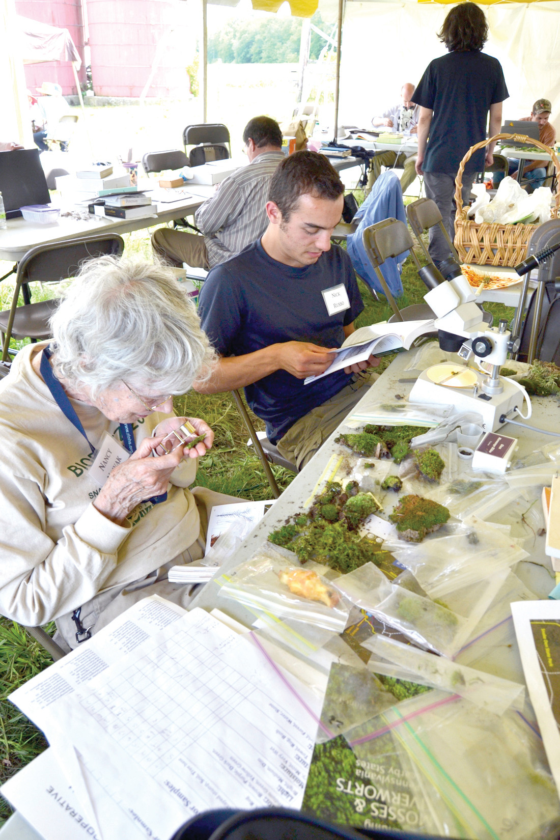 MANAGING MOSS: Nancy Nowak and Nick Russo catalogue some of the mosses found during the BioBlitz.