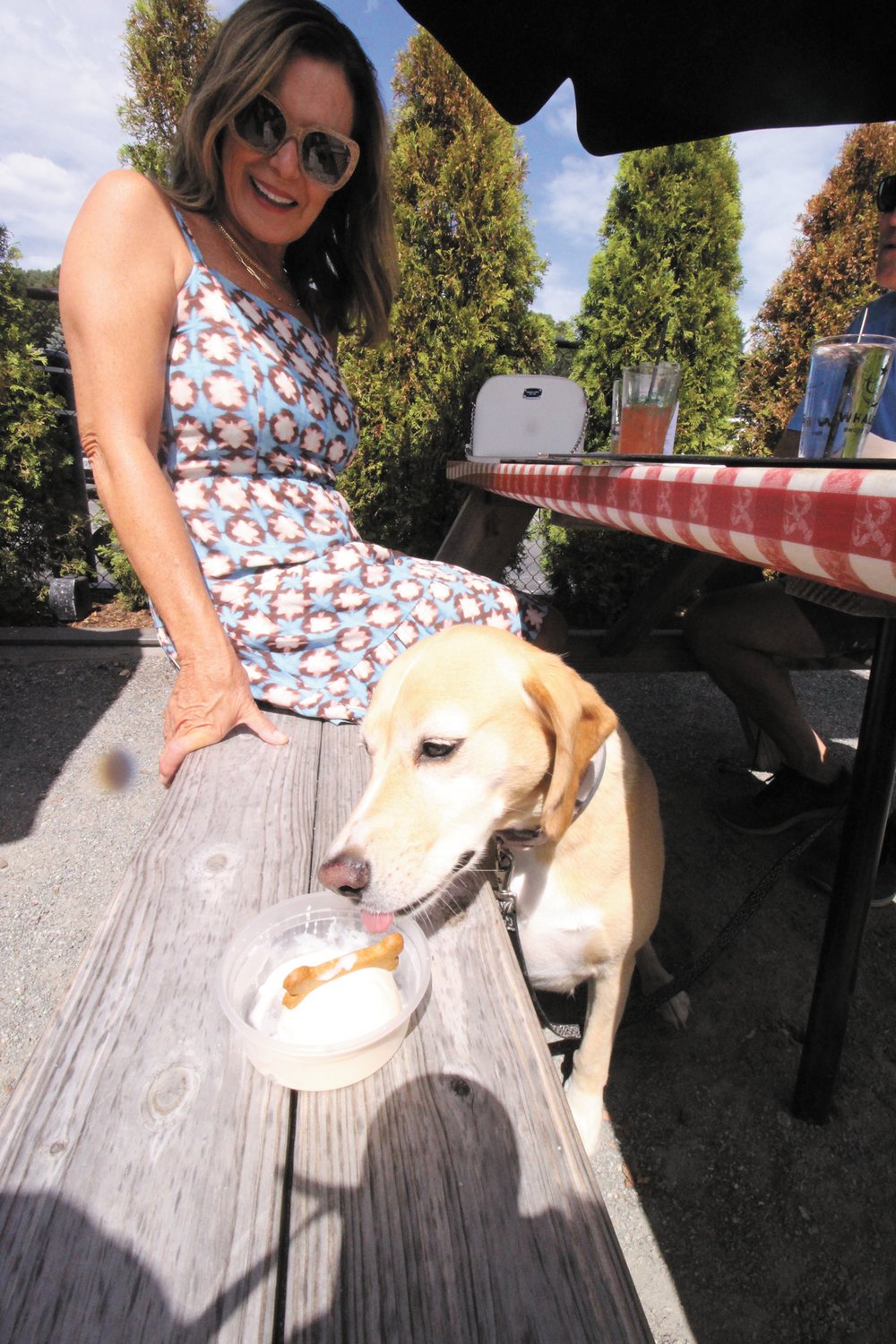 DOGGIE SUNDEA: Blondie slurps up vanilla ice cream topped with a dog biscuit. Christine Carbone of Cranston says the dog loves ice cream.